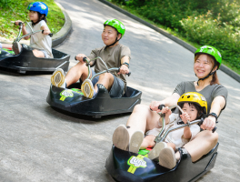 Skyline Luge Singapore