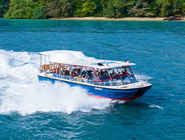 Southern Albatross Speedboat